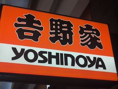 -吉野家(红博中央公园店)