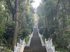-东湖落雁景区