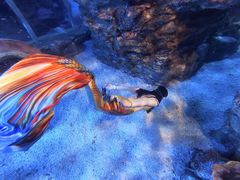 -太平洋海底世界