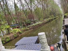 -合肥滨湖国家森林公园