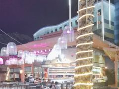 -喷泉广场餐厅·宵夜·海鲜烧烤大排档(长隆企鹅酒店)