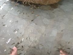 -碧水湾温泉