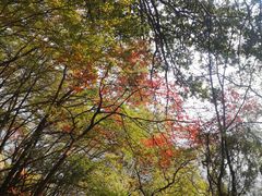 -终南山南五台景区