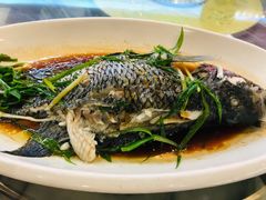 清蒸花斑鱼-敦煌喜宴(万达广场店)