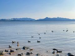 -深圳湾公园(南山区)