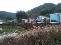 -南丹山森林王国