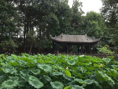 -宝光寺