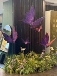 -苏州奥拉克美容医院