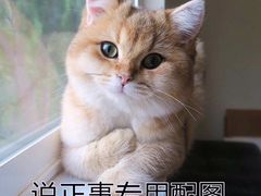 -刘一锅筋头巴脑(王府井店)