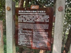 -铁山坪森林公园