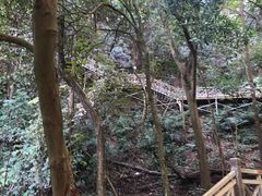 -南宁良凤江国家森林公园