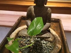 -常乐·对症推拿(来福士第43分店)