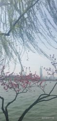 -玄武湖景区-情侣园游乐场