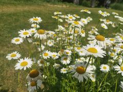 -汉长安城未央宫国家考古遗址公园