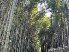 -会稽山峡洞漂流-上青古道