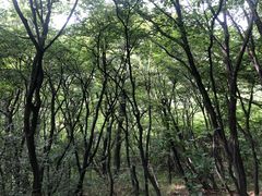 景点-云台山风景名胜区