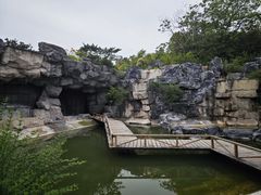 -上海吴淞炮台湾国家湿地公园