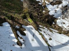 -凤凰山国家森林公园