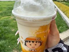 -美罗城