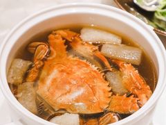 石夹红炖鲜竹笙-人间采蜜(海信广场店)