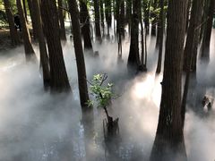 -东湖落雁景区