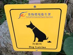 -南丫岛