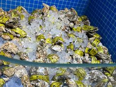 -乔哥铭洋海鲜自助(皇城恒隆广场店)