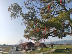 -良渚古城遗址公园
