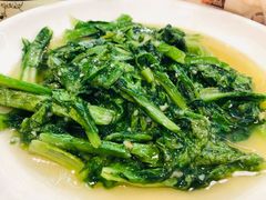 清炒时蔬-友强·23年特色海鲜大排档(厦门店)