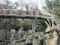 -元江连续刚构世界第一高桥景区