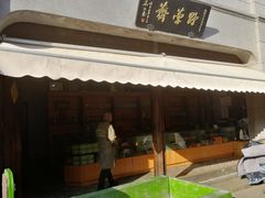 -野荸荠