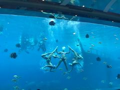 -瑞德姆美人鱼海底演艺主题餐厅(亚龙湾店)