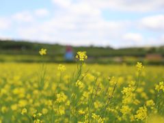 -鴜鹭湖生态旅游度假区