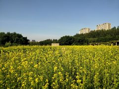 -长春公园(普阳街道)