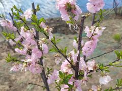 -长春公园(普阳街道)