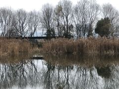 -西湖风景区-江洋畈生态公园