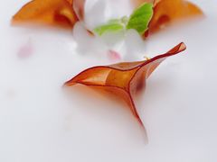 -觀芷隐轩