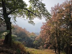 -广州市石门国家森林公园