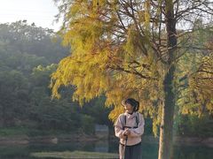 -大雁山风景区