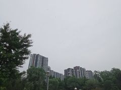 -望湖公园