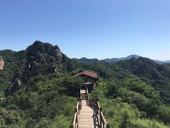 -大岭沟猕猴桃谷风景区