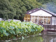 -荷塘味道(水长城店)