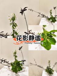 -今日陶艺(富力广场店)