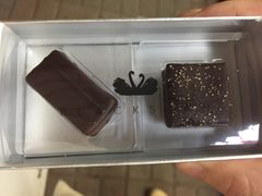 -BLACKSWAN黑天鹅(环球店)