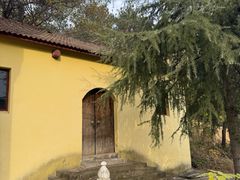 -游子山休闲旅游区