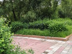 -黑龙江中医药大学