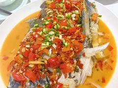 -全乐鱼馆·淳牌有机鱼直营店