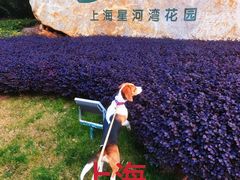 -上海凯宾斯基大酒店
