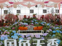 -盈香心动乐园