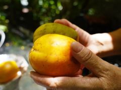 -缘生态云南菜·野生菌庭院餐厅(华侨城店)